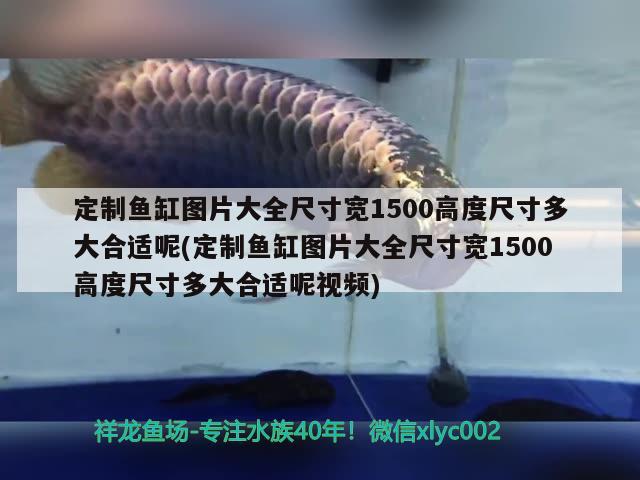 定制鱼缸图片大全尺寸宽1500高度尺寸多大合适呢(定制鱼缸图片大全尺寸宽1500高度尺寸多大合适呢视频) 银龙鱼