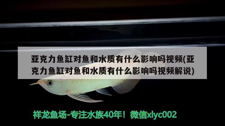 亚克力鱼缸对鱼和水质有什么影响吗视频(亚克力鱼缸对鱼和水质有什么影响吗视频解说)