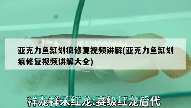 亚克力鱼缸划痕修复视频讲解(亚克力鱼缸划痕修复视频讲解大全) 鱼缸百科