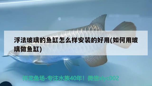 浮法玻璃的鱼缸怎么样安装的好用(如何用玻璃做鱼缸) 虎纹银版鱼