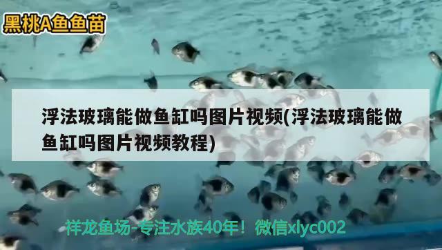 浮法玻璃能做鱼缸吗图片视频(浮法玻璃能做鱼缸吗图片视频教程)