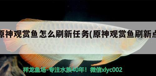 原神观赏鱼怎么刷新任务(原神观赏鱼刷新点)