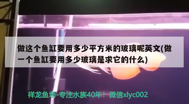 做这个鱼缸要用多少平方米的玻璃呢英文(做一个鱼缸要用多少玻璃是求它的什么) 虎斑恐龙鱼 第2张