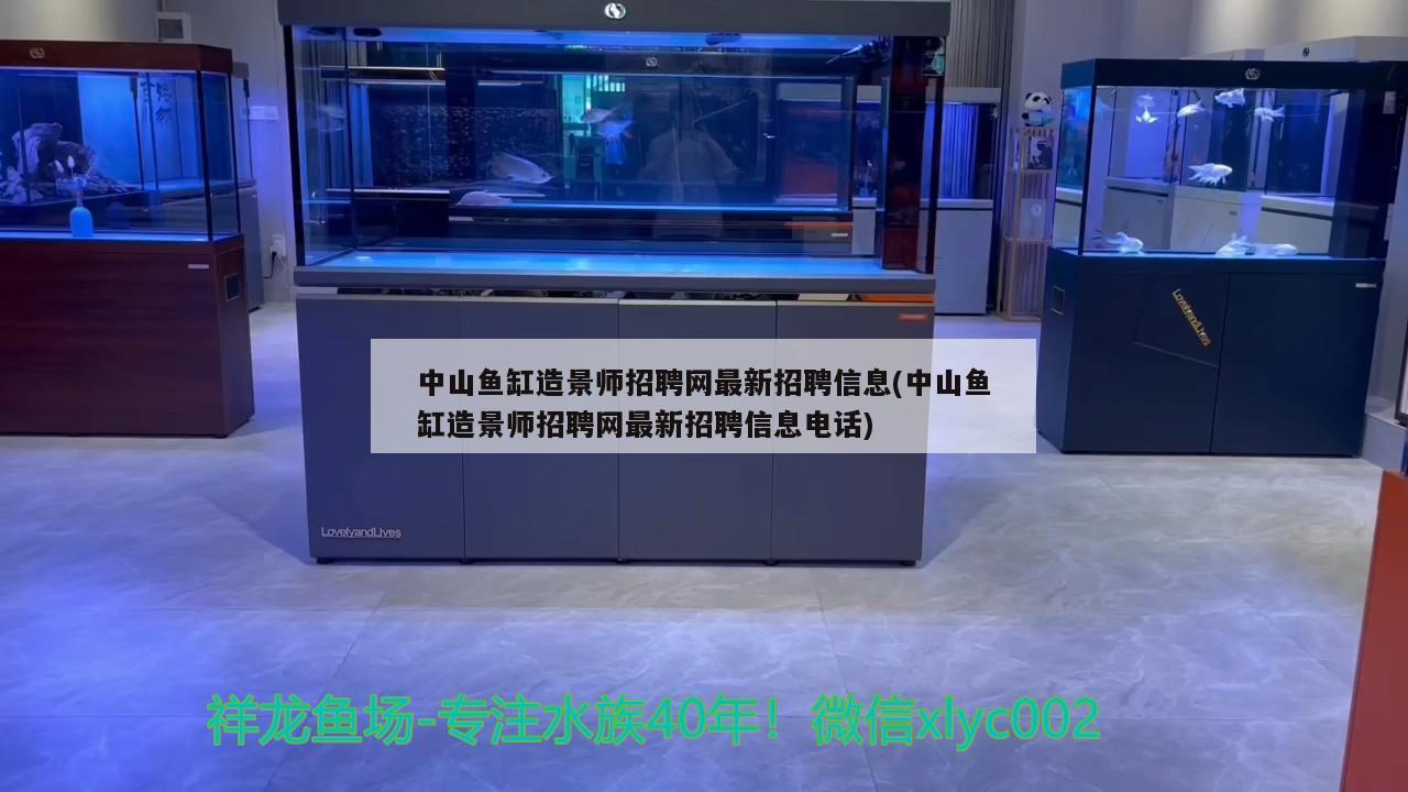 中山鱼缸造景师招聘网最新招聘信息(中山鱼缸造景师招聘网最新招聘信息电话) 绿皮皇冠豹鱼 第3张