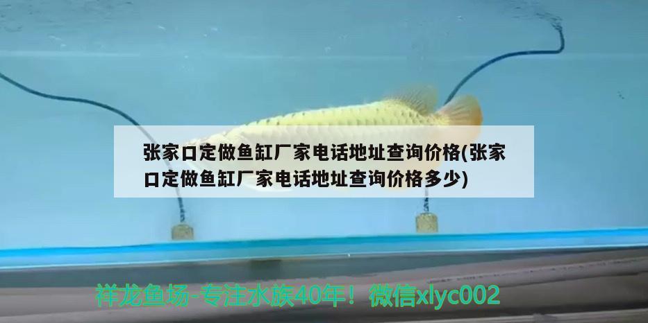 张家口定做鱼缸厂家电话地址查询价格(张家口定做鱼缸厂家电话地址查询价格多少)