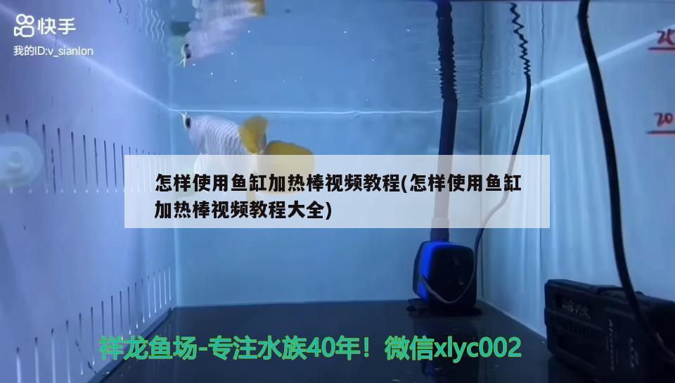 怎样使用鱼缸加热棒视频教程(怎样使用鱼缸加热棒视频教程大全) 一眉道人鱼