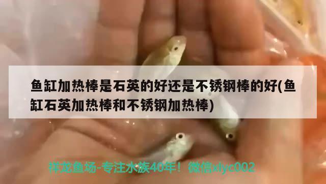 鱼缸加热棒是石英的好还是不锈钢棒的好(鱼缸石英加热棒和不锈钢加热棒)