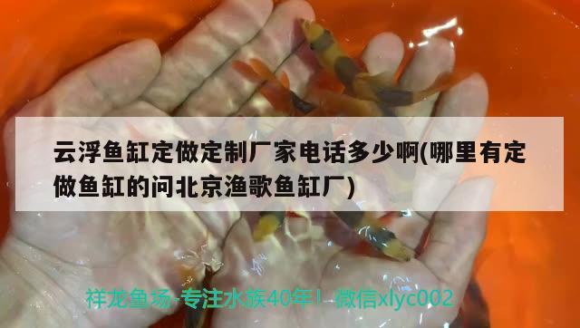 云浮鱼缸定做定制厂家电话多少啊(哪里有定做鱼缸的问北京渔歌鱼缸厂)