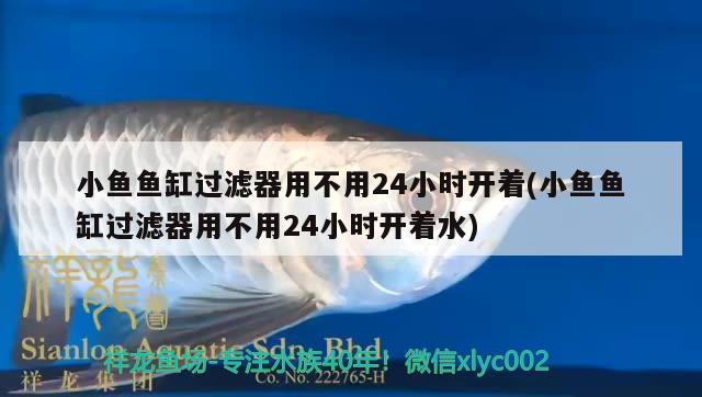 小鱼鱼缸过滤器用不用24小时开着(小鱼鱼缸过滤器用不用24小时开着水) 福虎/异型虎鱼/纯色虎鱼