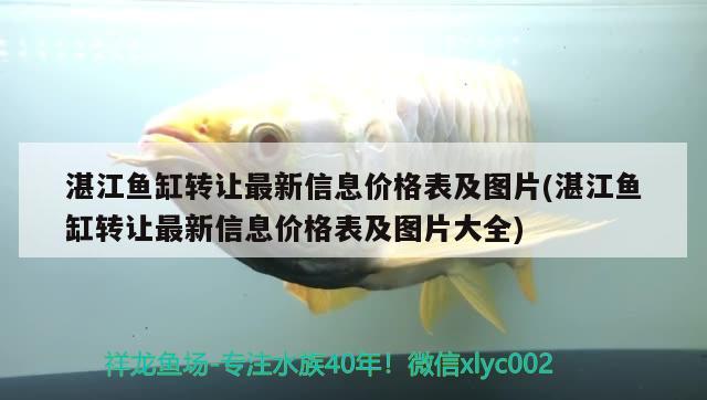 湛江鱼缸转让最新信息价格表及图片(湛江鱼缸转让最新信息价格表及图片大全) 三间鼠鱼