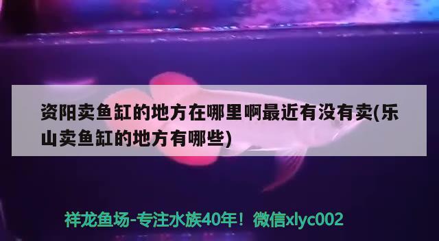 资阳卖鱼缸的地方在哪里啊最近有没有卖(乐山卖鱼缸的地方有哪些) 潜水艇鱼