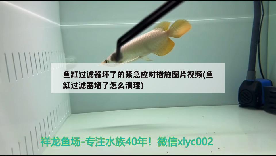 鱼缸过滤器坏了的紧急应对措施图片视频(鱼缸过滤器堵了怎么清理)