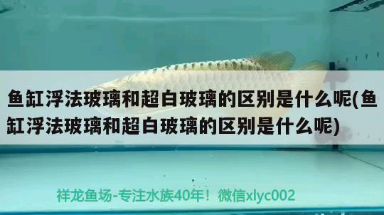 鱼缸浮法玻璃和超白玻璃的区别是什么呢(鱼缸浮法玻璃和超白玻璃的区别是什么呢)