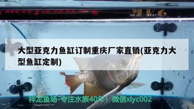 大型亚克力鱼缸订制重庆厂家直销(亚克力大型鱼缸定制) 虎鱼百科