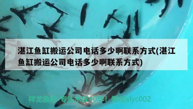 湛江鱼缸搬运公司电话多少啊联系方式(湛江鱼缸搬运公司电话多少啊联系方式)