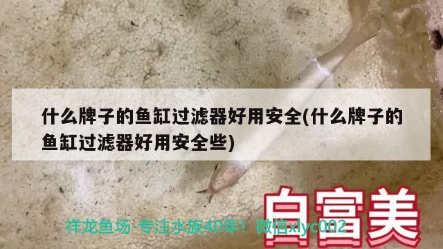 什么牌子的鱼缸过滤器好用安全(什么牌子的鱼缸过滤器好用安全些) 龙鱼百科