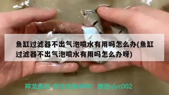 鱼缸过滤器不出气泡喷水有用吗怎么办(鱼缸过滤器不出气泡喷水有用吗怎么办呀)