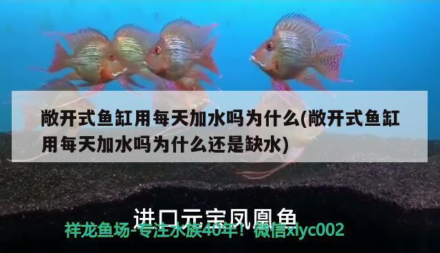 敞开式鱼缸用每天加水吗为什么(敞开式鱼缸用每天加水吗为什么还是缺水)