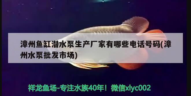 漳州鱼缸潜水泵生产厂家有哪些电话号码(漳州水泵批发市场) 申古三间鱼