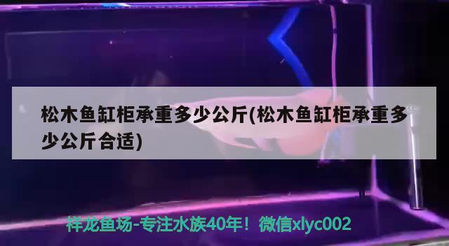 松木鱼缸柜承重多少公斤(松木鱼缸柜承重多少公斤合适) 帝王血钻鱼