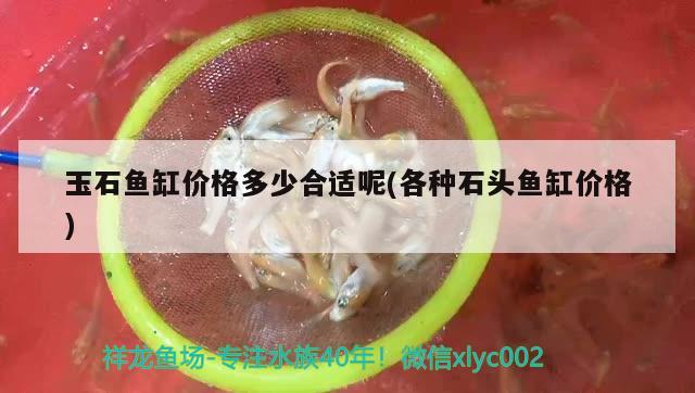 玉石鱼缸价格多少合适呢(各种石头鱼缸价格)