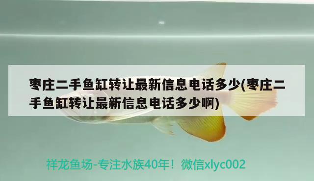 枣庄二手鱼缸转让最新信息电话多少(枣庄二手鱼缸转让最新信息电话多少啊) 红勾银版鱼 第2张