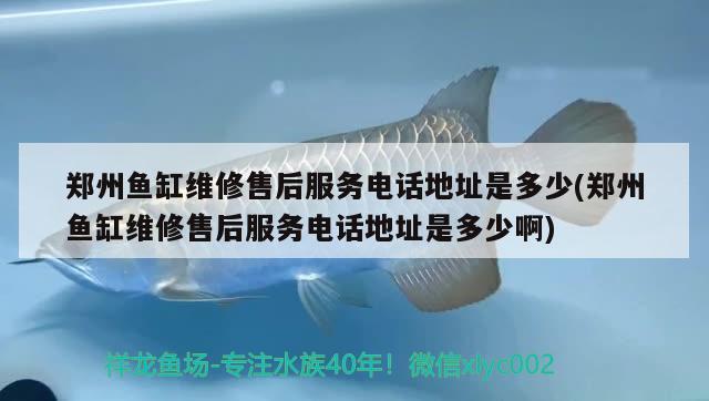 郑州鱼缸维修售后服务电话地址是多少(郑州鱼缸维修售后服务电话地址是多少啊) 鱼缸/水族箱