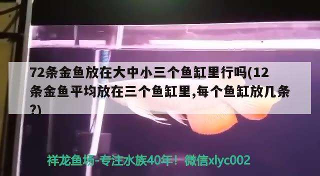 72条金鱼放在大中小三个鱼缸里行吗(12条金鱼平均放在三个鱼缸里,每个鱼缸放几条?)