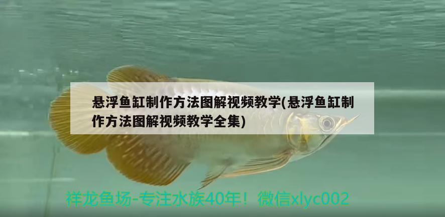 悬浮鱼缸制作方法图解视频教学(悬浮鱼缸制作方法图解视频教学全集)