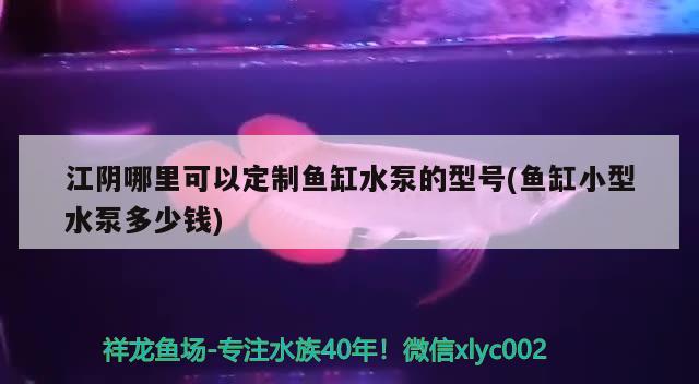 江阴哪里可以定制鱼缸水泵的型号(鱼缸小型水泵多少钱) 鱼缸水泵