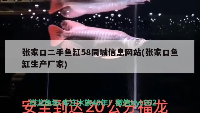 张家口二手鱼缸58同城信息网站(张家口鱼缸生产厂家) 帝王血钻 第3张