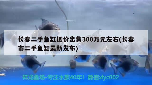 长春二手鱼缸低价出售300万元左右(长春市二手鱼缸最新发布)