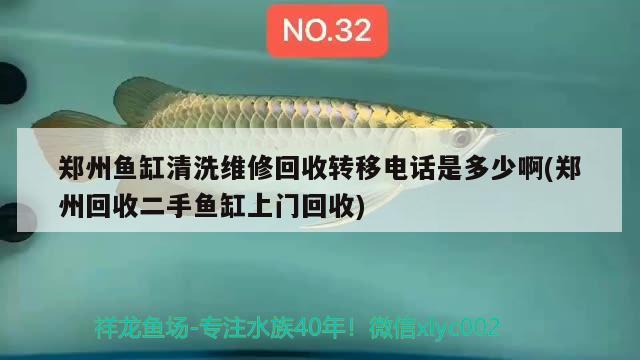 郑州鱼缸清洗维修回收转移电话是多少啊(郑州回收二手鱼缸上门回收)