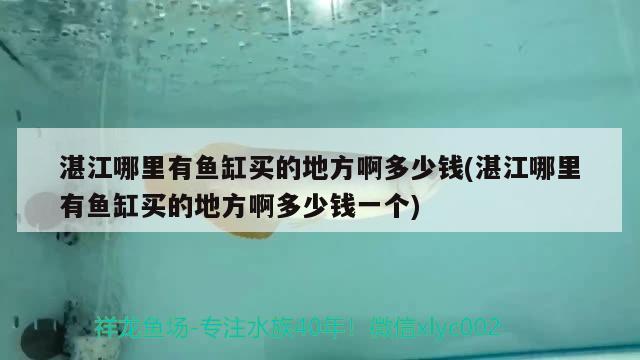 湛江哪里有鱼缸买的地方啊多少钱(湛江哪里有鱼缸买的地方啊多少钱一个) 银龙鱼苗