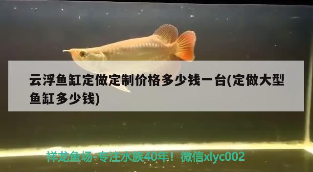 云浮鱼缸定做定制价格多少钱一台(定做大型鱼缸多少钱) 苏虎