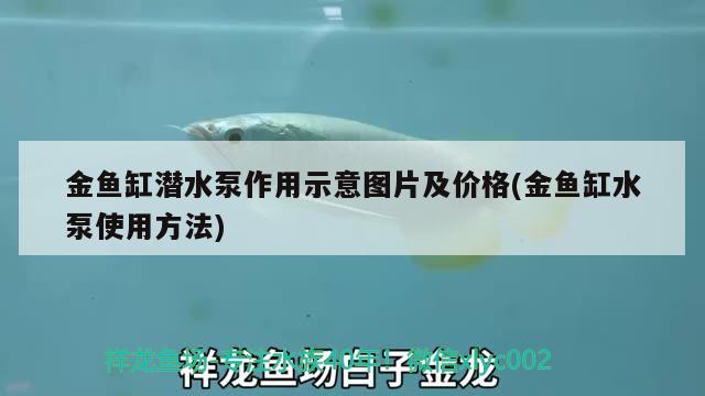 金鱼缸潜水泵作用示意图片及价格(金鱼缸水泵使用方法) 鱼缸水泵