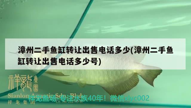 漳州二手鱼缸转让出售电话多少(漳州二手鱼缸转让出售电话多少号)