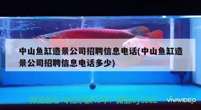 中山鱼缸造景公司招聘信息电话(中山鱼缸造景公司招聘信息电话多少) 喂食器