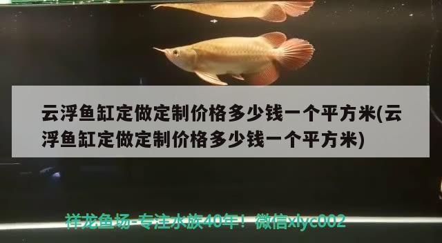 云浮鱼缸定做定制价格多少钱一个平方米(云浮鱼缸定做定制价格多少钱一个平方米)