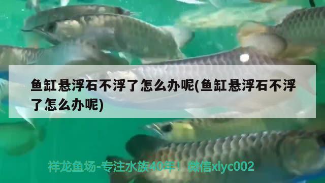 鱼缸悬浮石不浮了怎么办呢(鱼缸悬浮石不浮了怎么办呢) 飞凤鱼