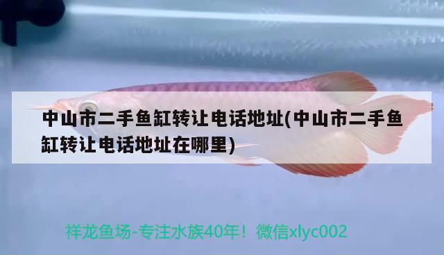 中山市二手鱼缸转让电话地址(中山市二手鱼缸转让电话地址在哪里)