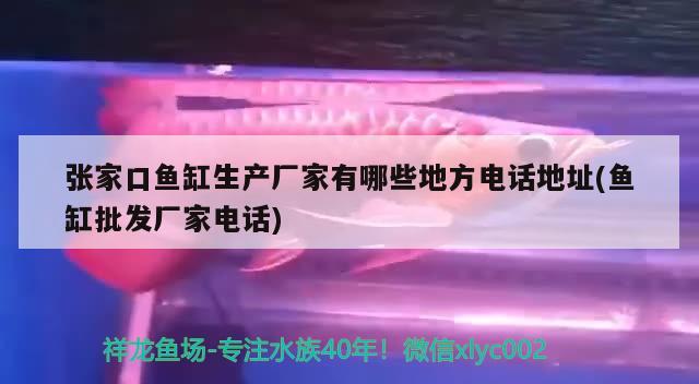 张家口鱼缸生产厂家有哪些地方电话地址(鱼缸批发厂家电话) 稀有金龙鱼