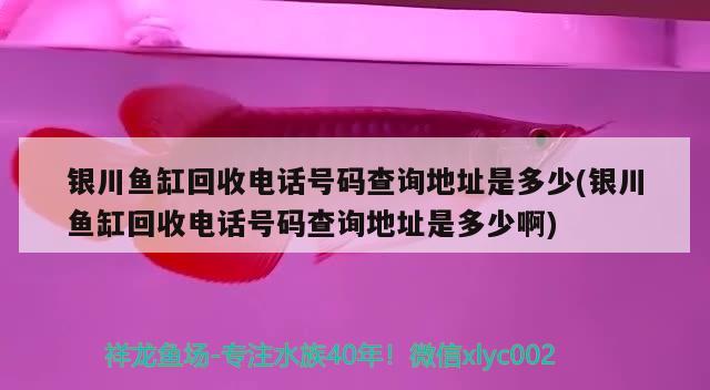 银川鱼缸回收电话号码查询地址是多少(银川鱼缸回收电话号码查询地址是多少啊)