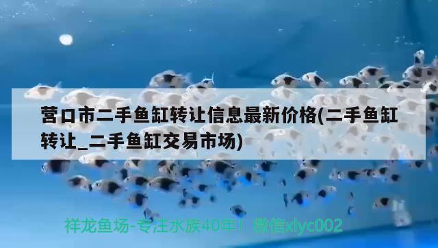 营口市二手鱼缸转让信息最新价格(二手鱼缸转让_二手鱼缸交易市场) 黑白双星鱼