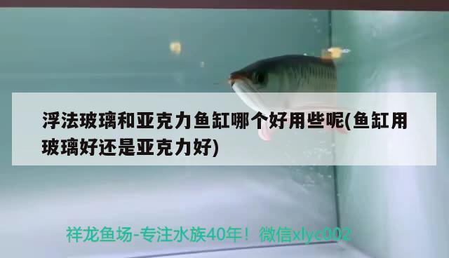 浮法玻璃和亚克力鱼缸哪个好用些呢(鱼缸用玻璃好还是亚克力好) 除藻剂