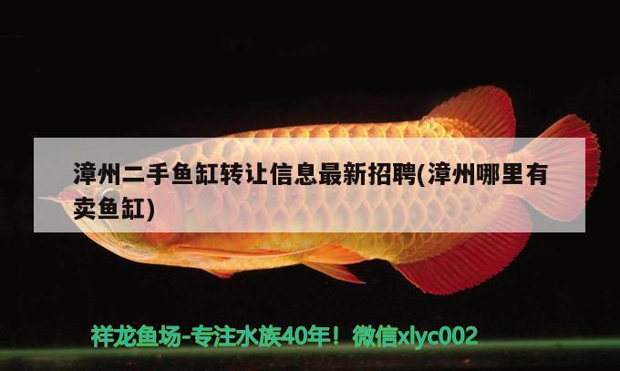 漳州二手鱼缸转让信息最新招聘(漳州哪里有卖鱼缸) 南美异型鱼