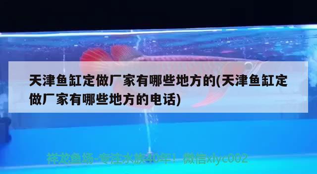 天津鱼缸定做厂家有哪些地方的(天津鱼缸定做厂家有哪些地方的电话)