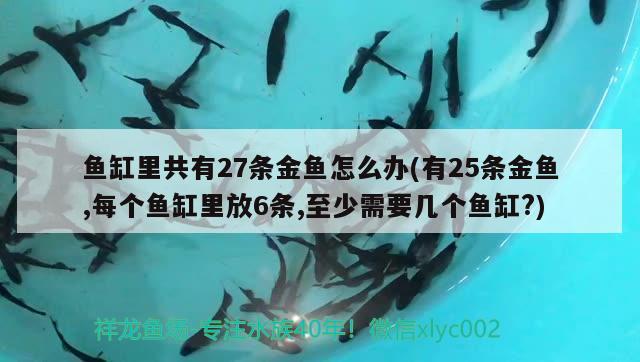 鱼缸里共有27条金鱼怎么办(有25条金鱼,每个鱼缸里放6条,至少需要几个鱼缸?)