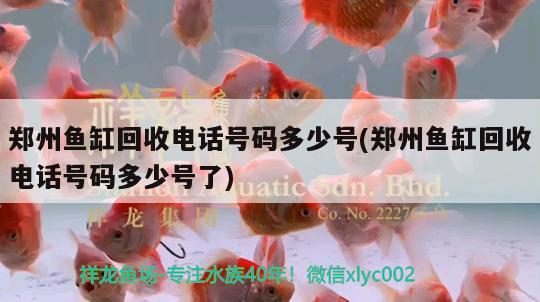 郑州鱼缸回收电话号码多少号(郑州鱼缸回收电话号码多少号了) 泰国雪鲫鱼