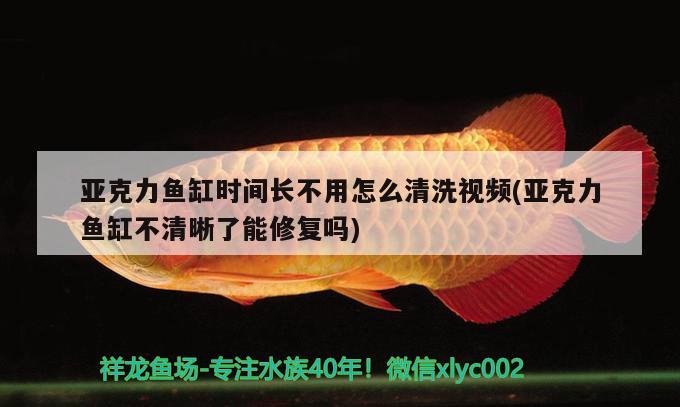 亚克力鱼缸时间长不用怎么清洗视频(亚克力鱼缸不清晰了能修复吗)